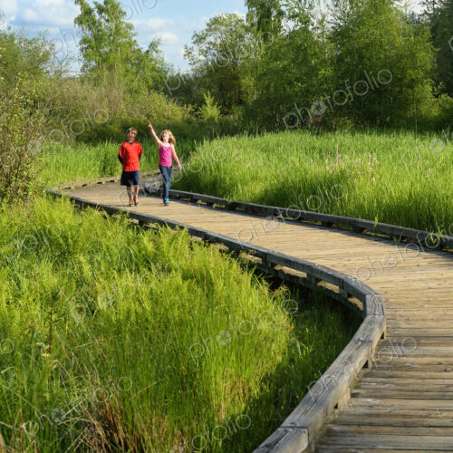 Children walking on wooden walkway in wetland marsh Children walking on wooden walkway in wetland marsh