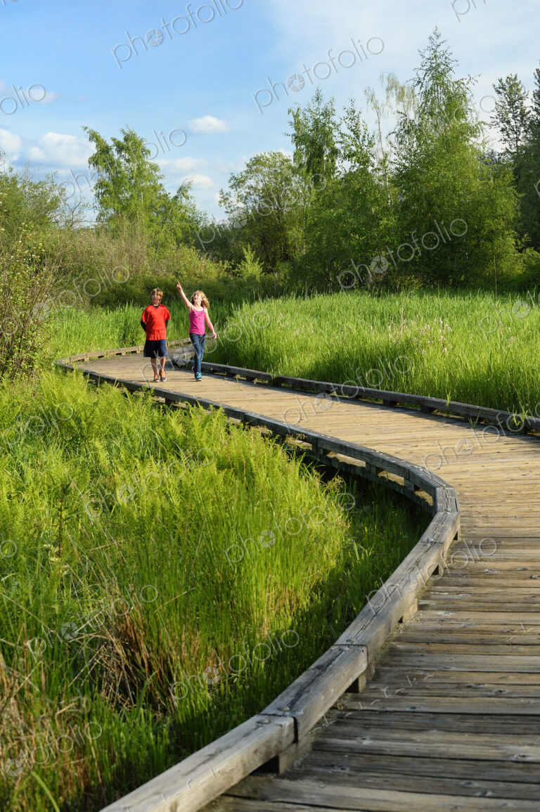Children walking on wooden walkway in wetland marsh