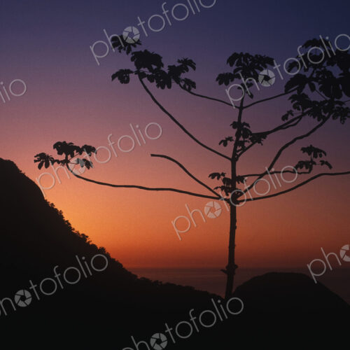 Christ the Redeemer, Rio de Janeiro Christ the Redeemer, Rio de Janeiro