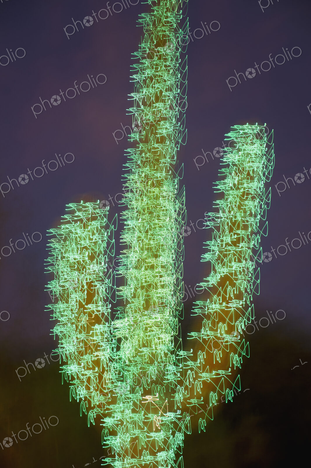 Christmas Decorated Cactus