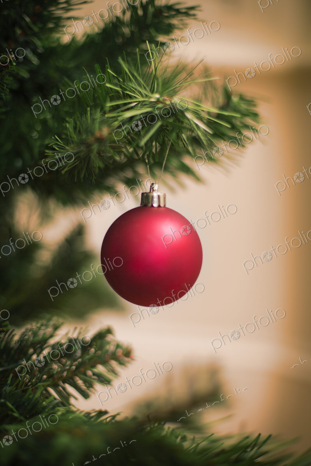 Christmas decorations. A traditional real Christmas tree, decorated with a red bauble.