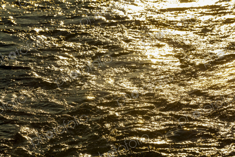 Churned up water, a boat wake and waves on the water surface, reflections of sunlight…