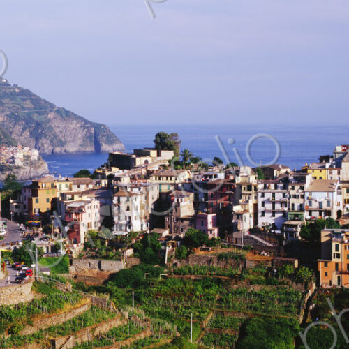 Cinque Terra town of Corniglia