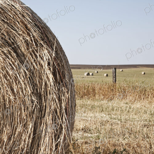 Circular Hay Bale Circular Hay Bale