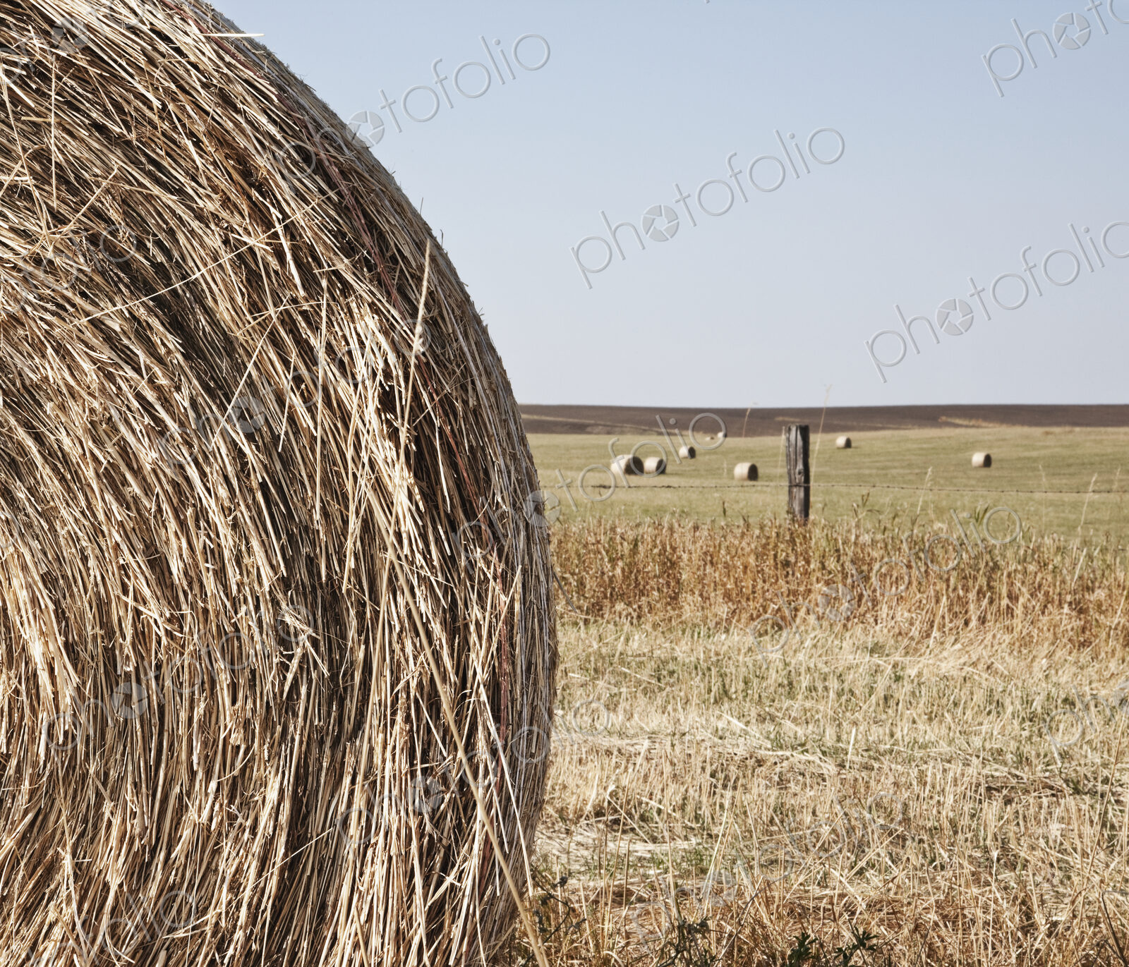 Circular Hay Bale
