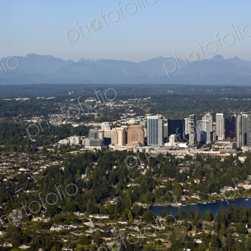 City Center Amongst a Residential Population City Center Amongst a Residential Population