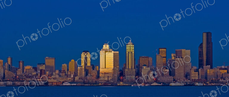 City Skyline