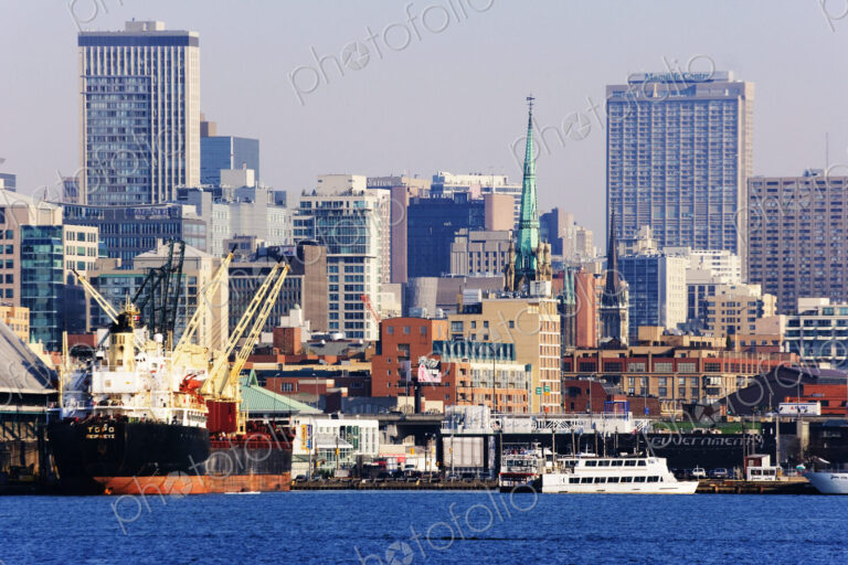 City Skyline & Harbor