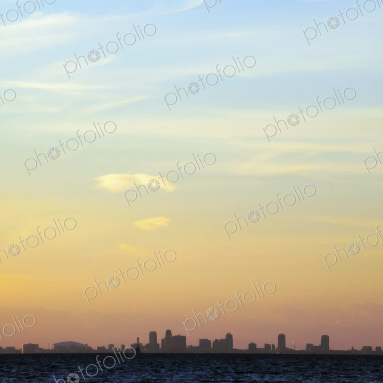 City Skyline in the Evening