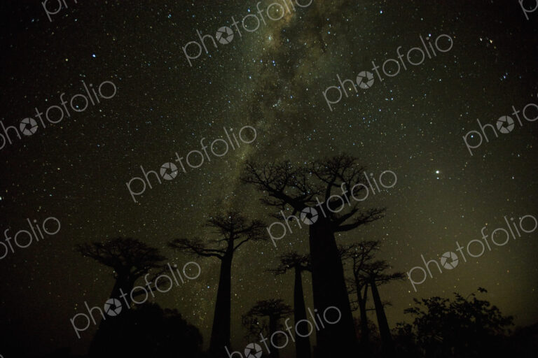Clear nighttime skies in Madagascar allow the glow of the Milky Way to shine behind…