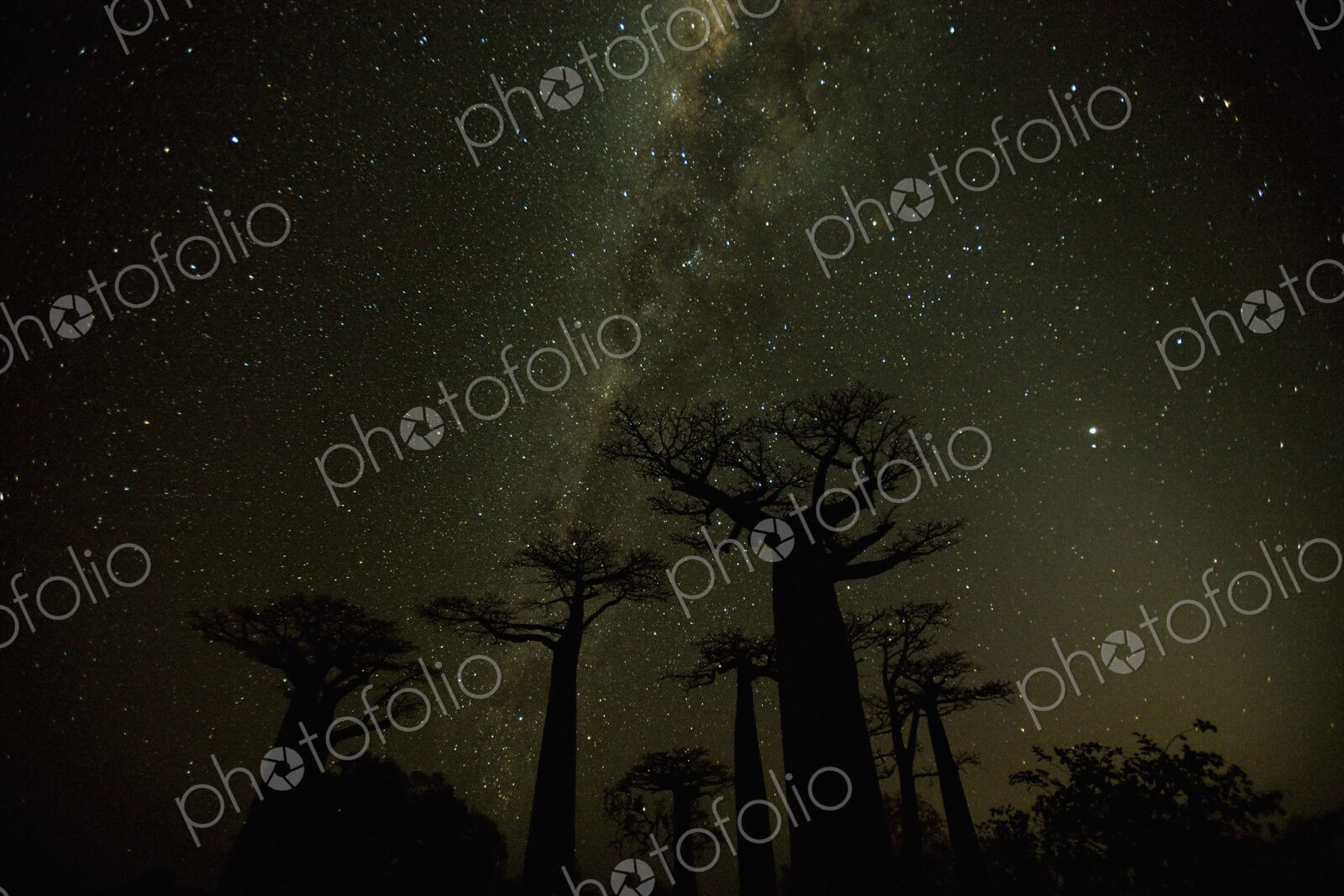 Clear nighttime skies in Madagascar allow the glow of the Milky Way to shine behind…