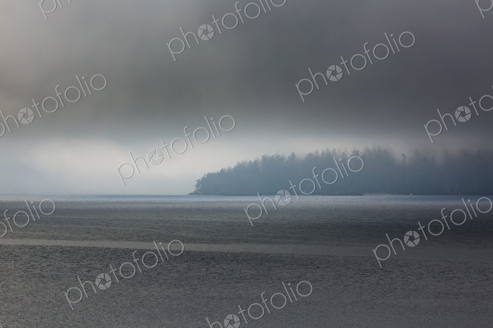 Clearing fog over forested point of land, East Sound, Orcas Island, WA USA