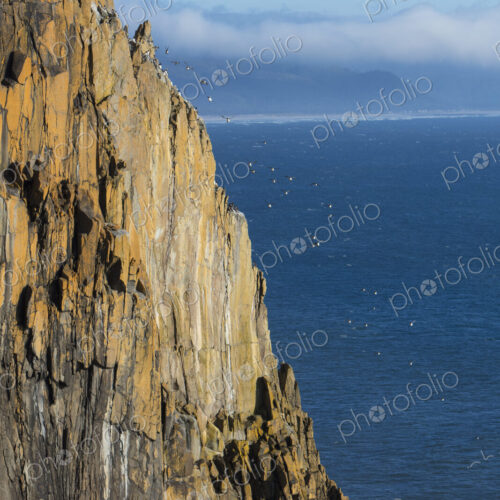 Cliffs at Oswald West State Park, Oregon