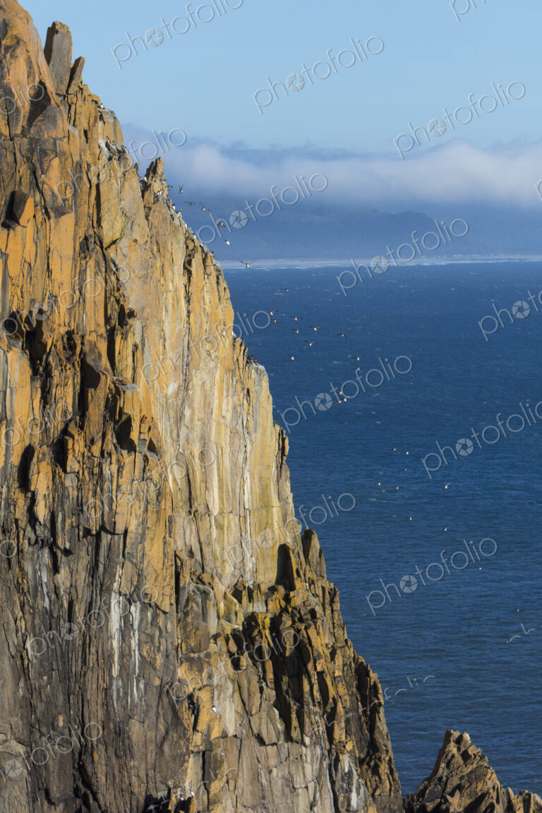 Cliffs at Oswald West State Park, Oregon