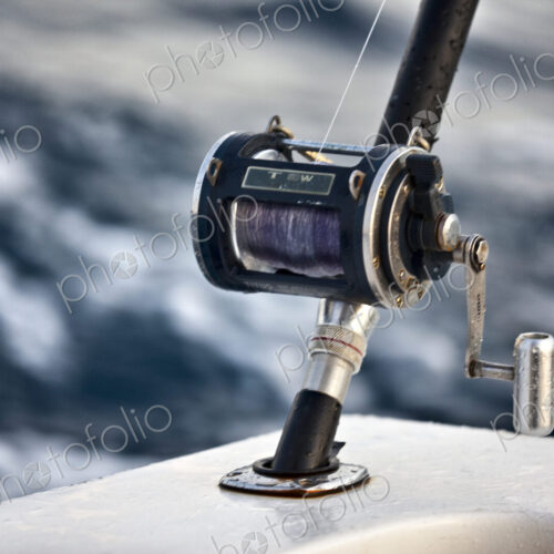 Close Up Of Fishing Real