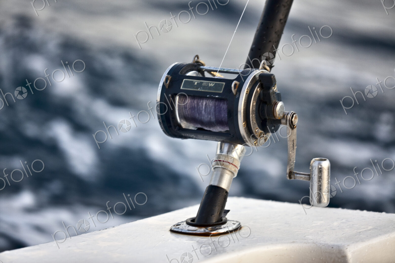 Close Up Of Fishing Real