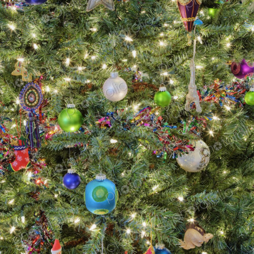 Close-up of Christmas Tree Close-up of Christmas Tree