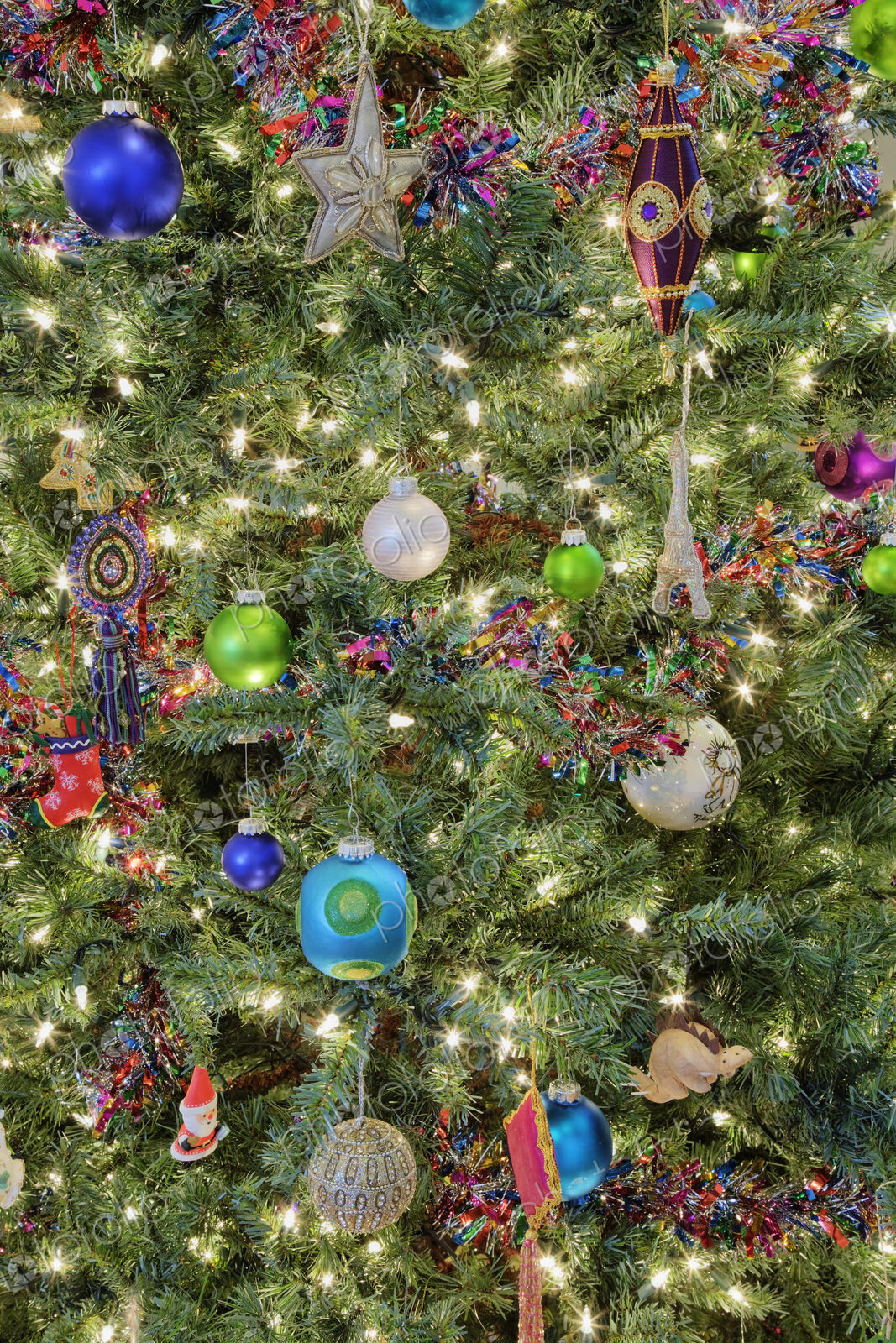 Close-up of Christmas Tree