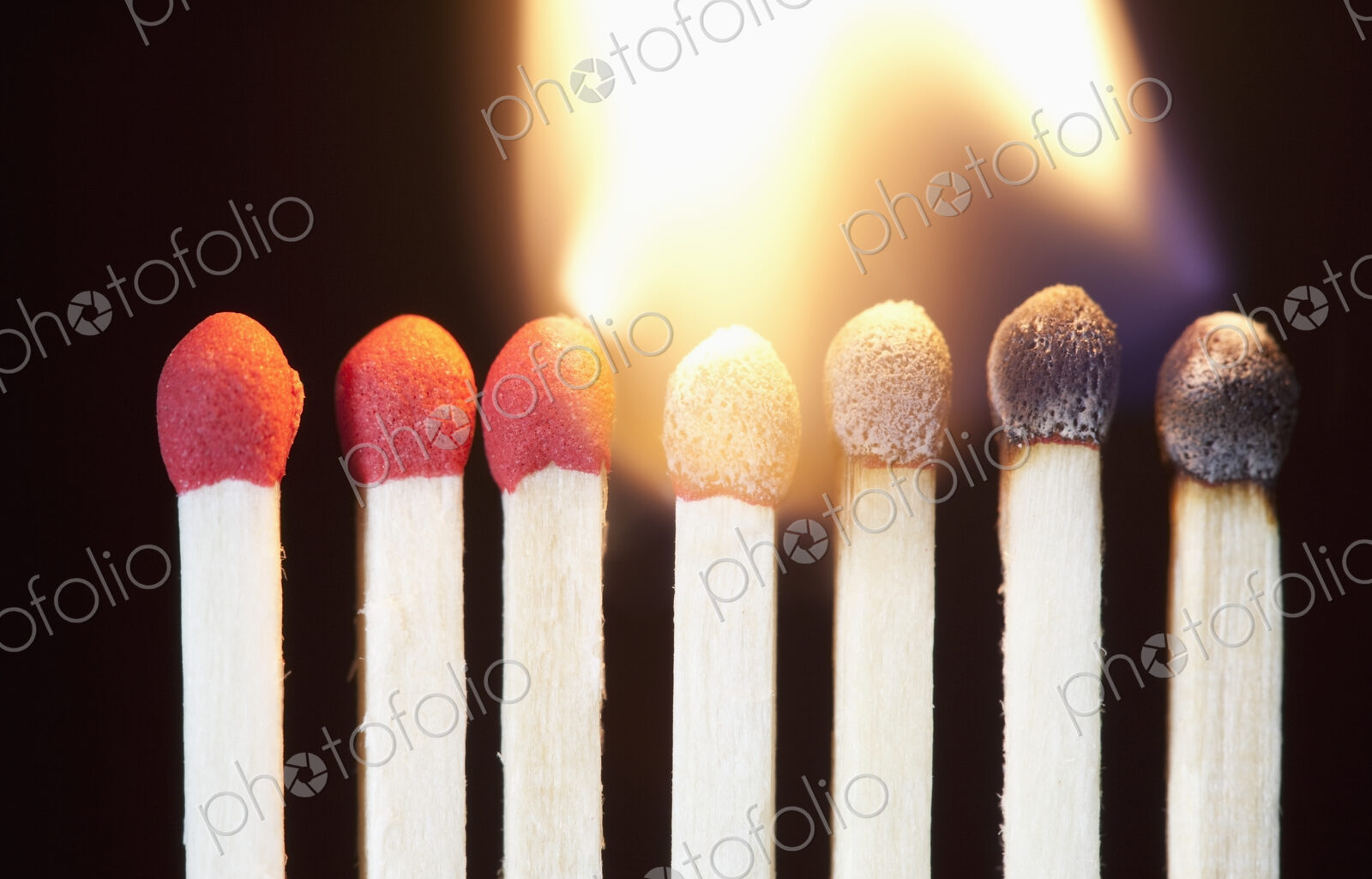 Close up of Matches Burning