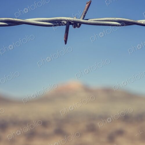 Close-up of a barbed wire fence with sharp focus on the twisted metal against a… Close-up of a barbed wire fence with sharp focus on the twisted metal against a…