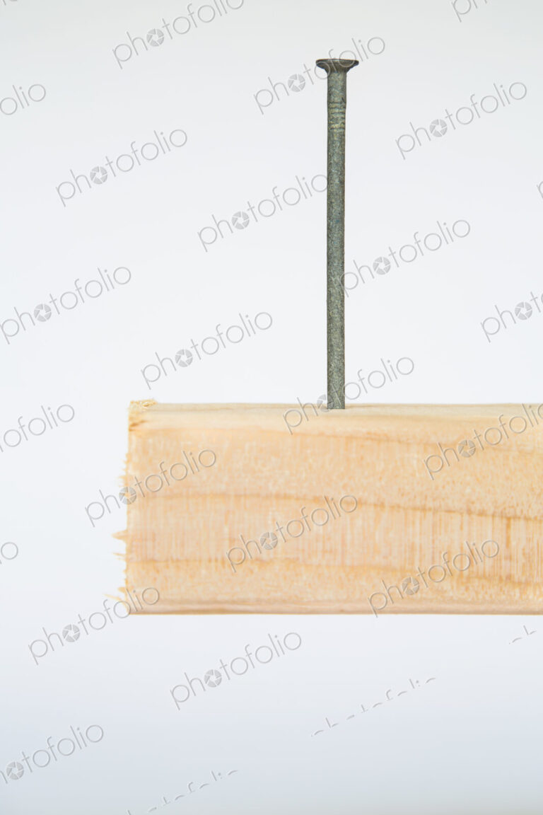 Close up of a metal nail in a block of Spruce wood, a 2x4 wood stud plank.