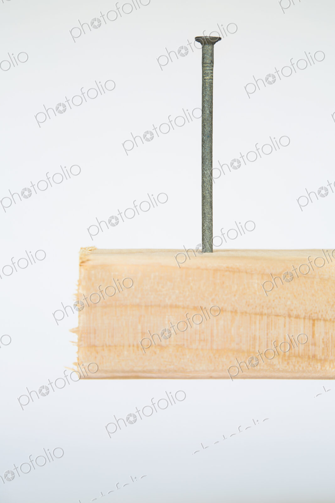 Close up of a metal nail in a block of Spruce wood, a 2×4 wood stud plank.