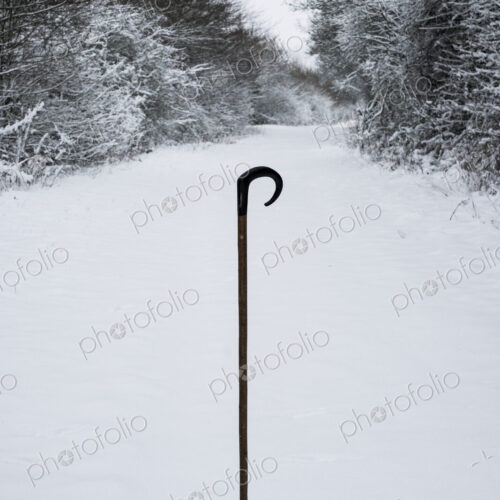 Close up of a shepherd's staff in the snow on a rural road.