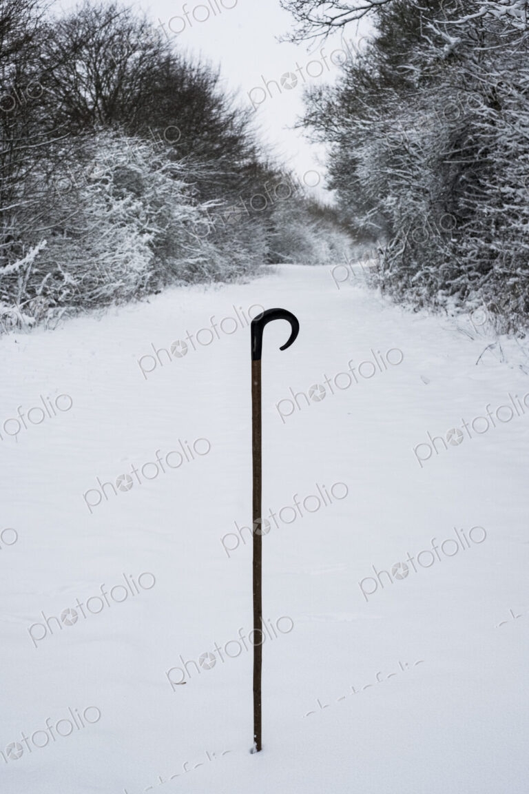 Close up of a shepherd's staff in the snow on a rural road.