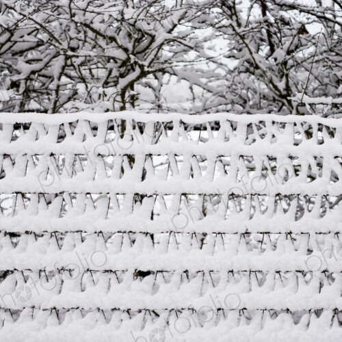 Close up of a snow-covered garden fence with trees in the background. Close up of a snow-covered garden fence with trees in the background.