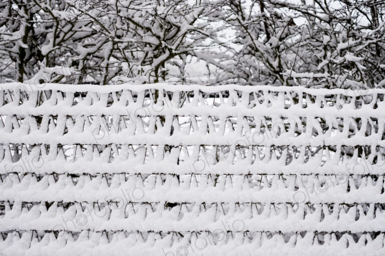 Close up of a snow-covered garden fence with trees in the background.