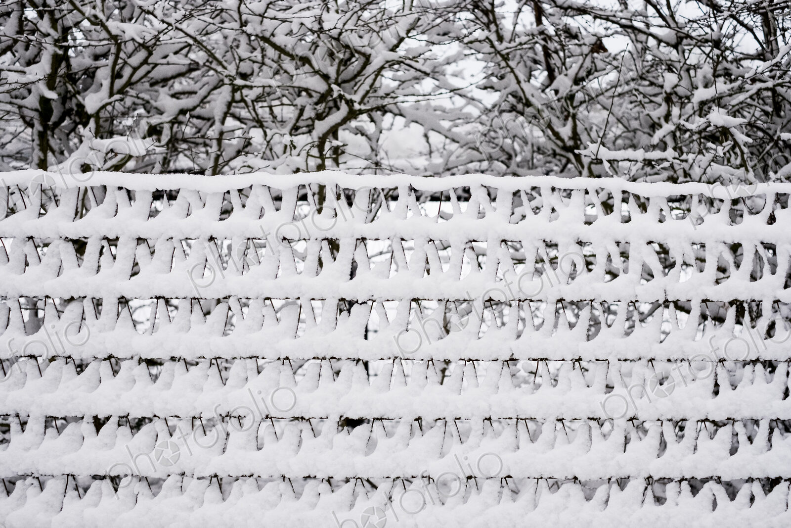 Close up of a snow-covered garden fence with trees in the background.