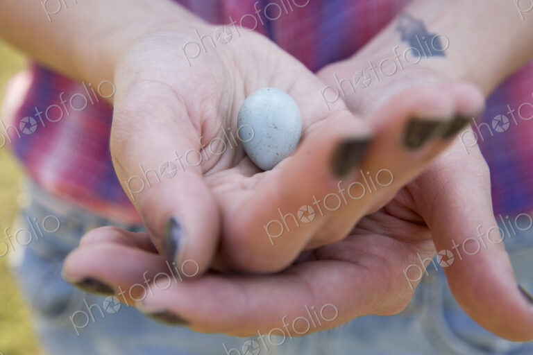 Close up of a woman's hands holding a small blue bird's egg.