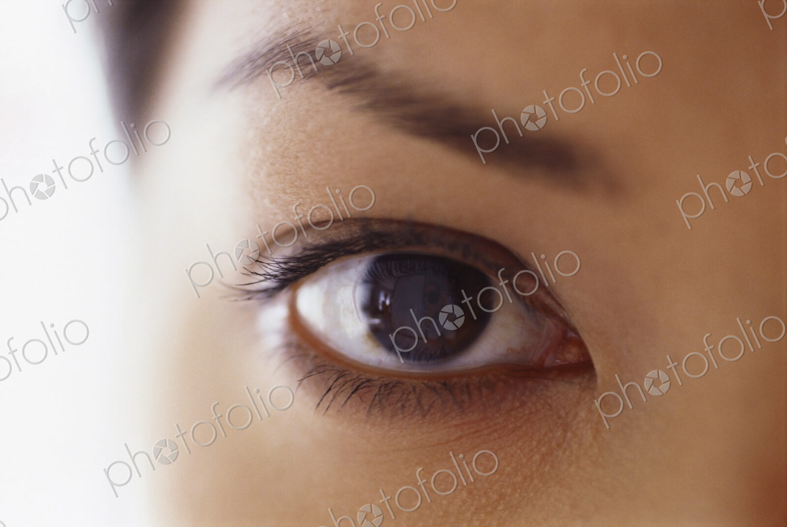 Close up of a young woman’s face. Eye and eyebrow.
