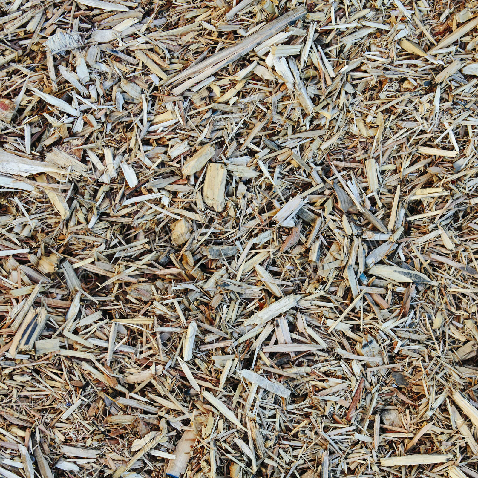 Close up of bark wood chips used for landscaping, near Quincy