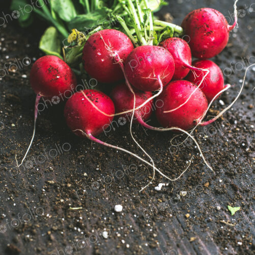 Close up of bunch of radishes