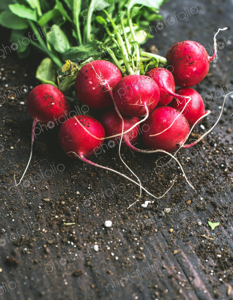 Close up of bunch of radishes