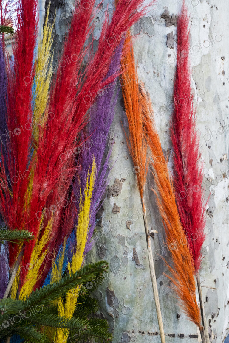 Close up of colourful dyed wispy branches against grey wall.
