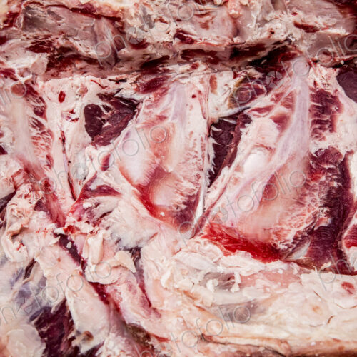 Close up of fat, gristle and meat on a beef forerib.