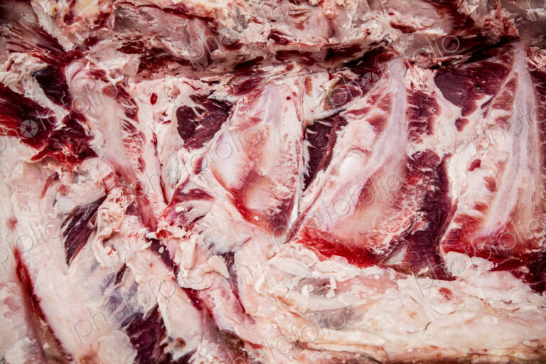 Close up of fat, gristle and meat on a beef forerib.