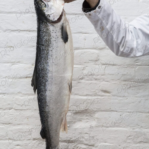 Close up of fishmonger holding aloft fresh salmon.