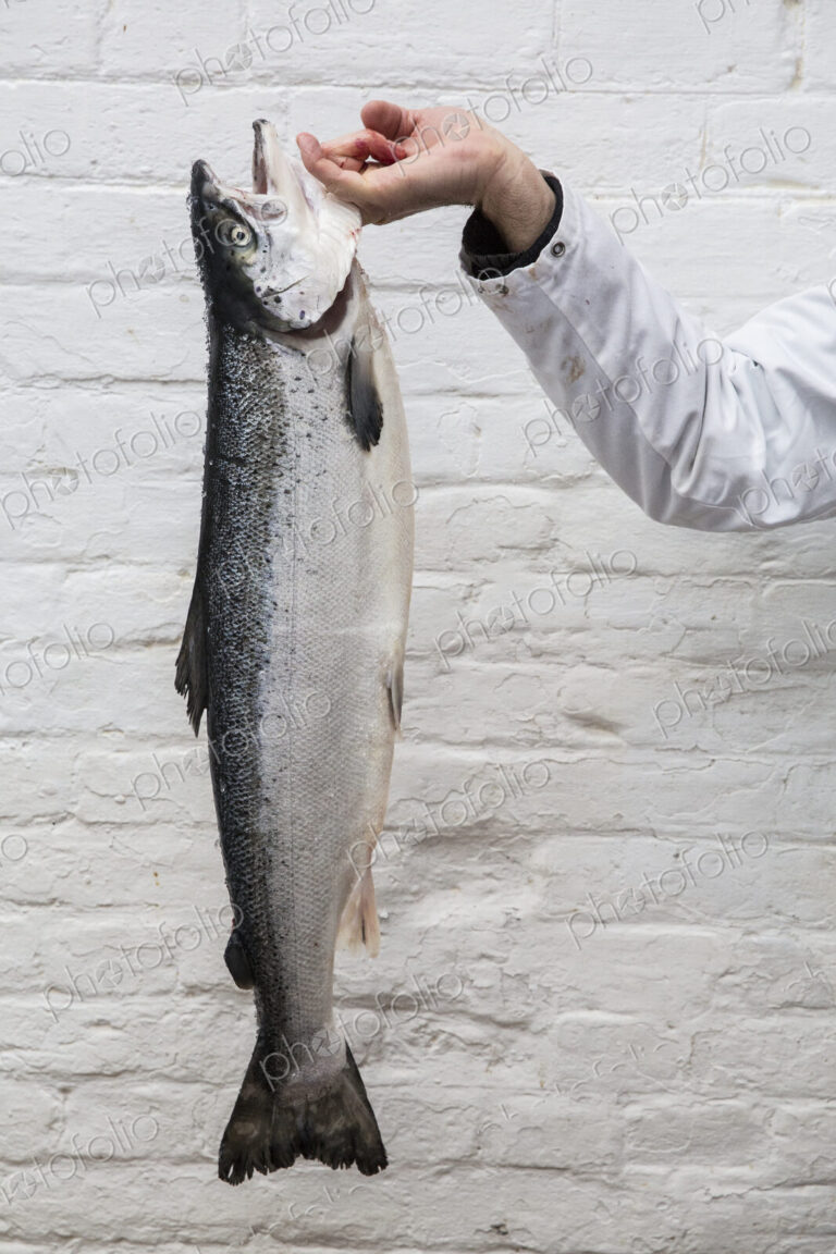 Close up of fishmonger holding aloft fresh salmon.