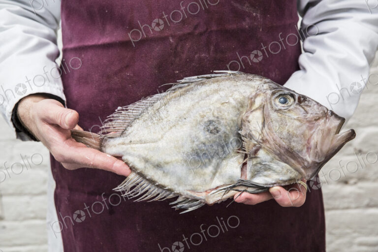 Close up of fishmonger wearing apron holding a fresh John Dory fish.