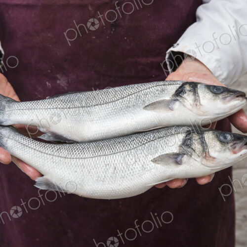 Close up of fishmonger wearing apron holding two fresh fish.
