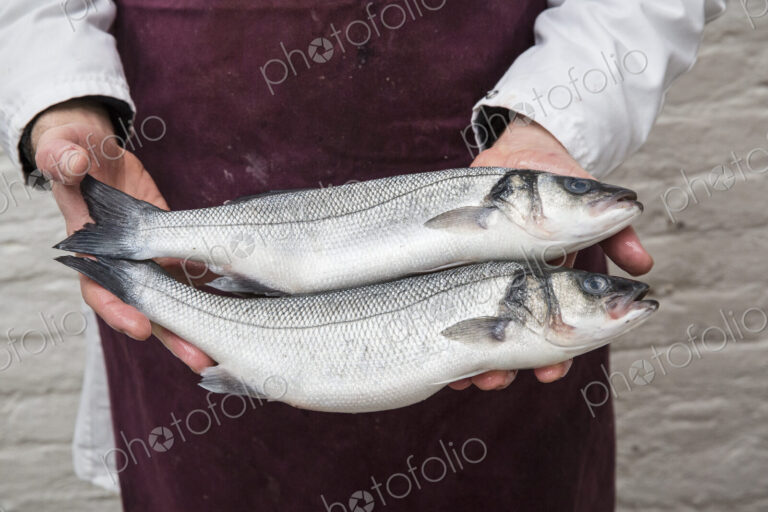 Close up of fishmonger wearing apron holding two fresh fish.