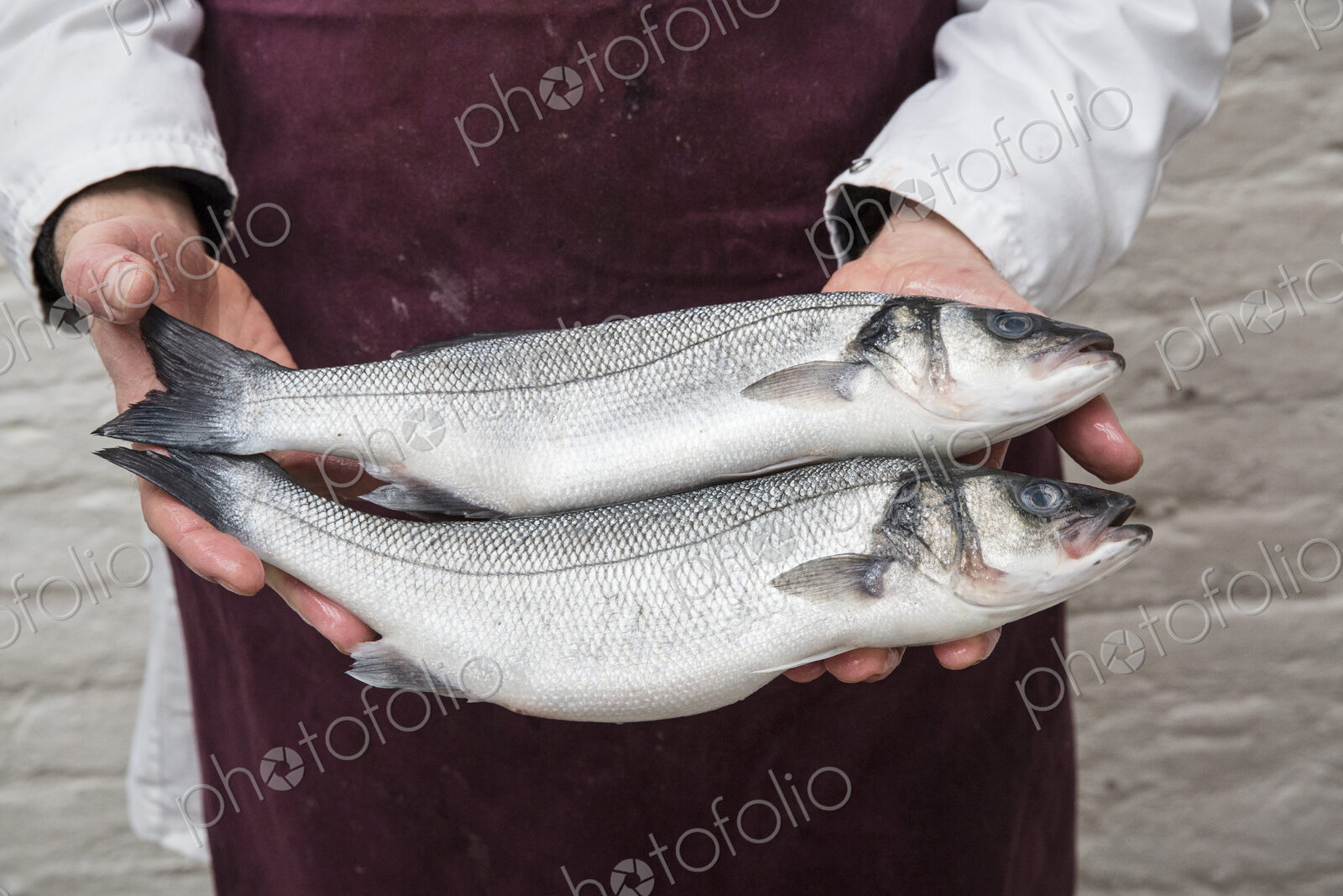 Close up of fishmonger wearing apron holding two fresh fish.