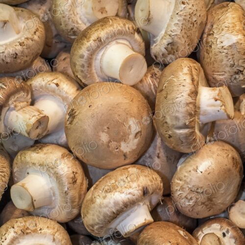 Close-up of fresh brown mushrooms piled together for sale at a farmers market. Pike… Close-up of fresh brown mushrooms piled together for sale at a farmers market. Pike…