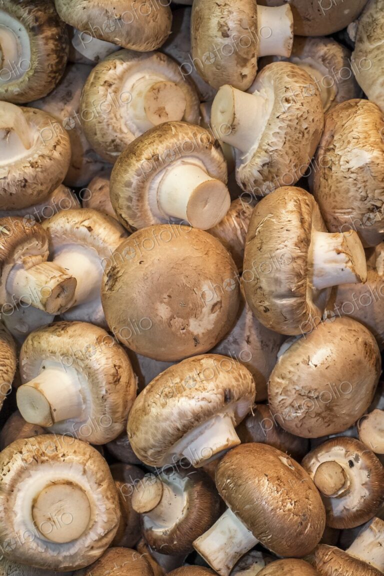 Close-up of fresh brown mushrooms piled together for sale at a farmers market. Pike…