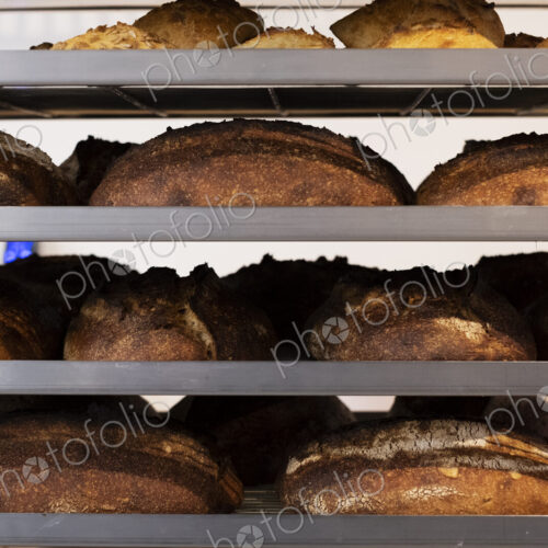 Close up of freshly baked loaves of bread on trolley shelves in an artisan bakery.