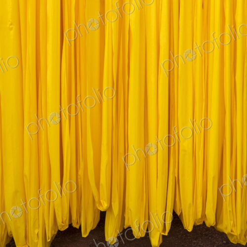Close up of freshly dyed bright yellow fabric hanging up to dry.