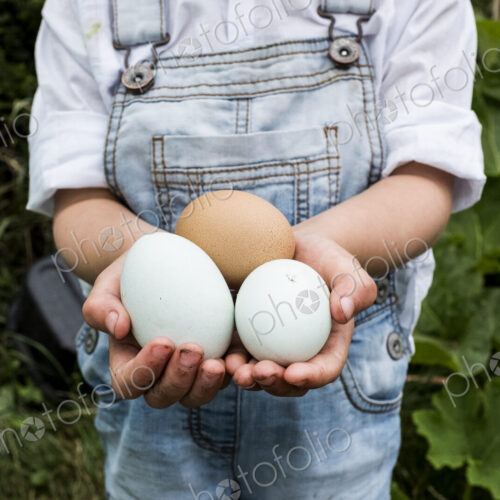 Close up of girl standing outdoor, holding three freshly laid eggs in her hands. Close up of girl standing outdoor, holding three freshly laid eggs in her hands.